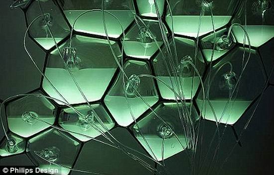 ���͡��������ͨ�^�l(f��)�⼚(x��)���a(ch��n)���⾀(�D)